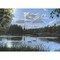 September Afternoon In Clumber Park Poster Print By Richard Harpum